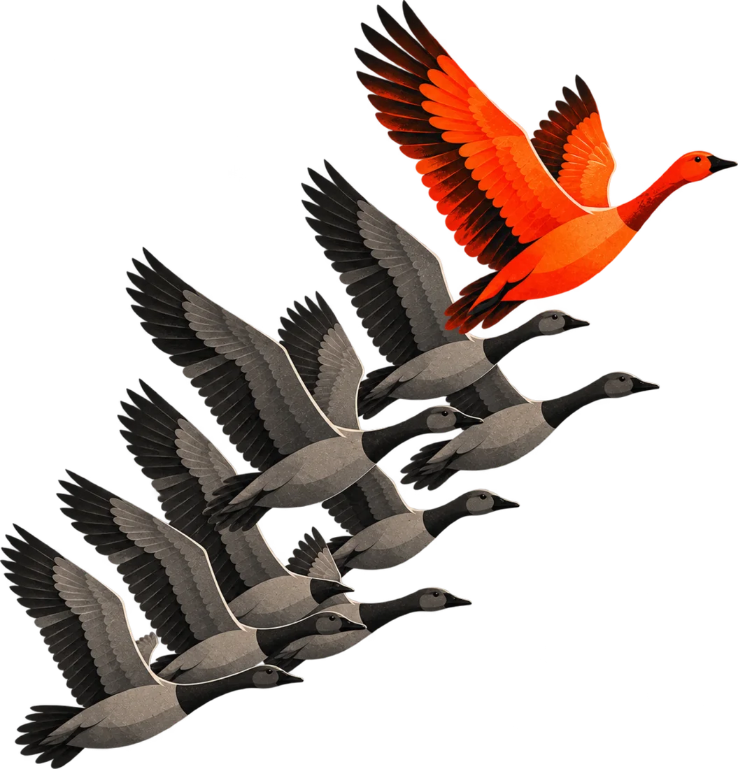 A flock of grey geese flying in formation behind an orange leader